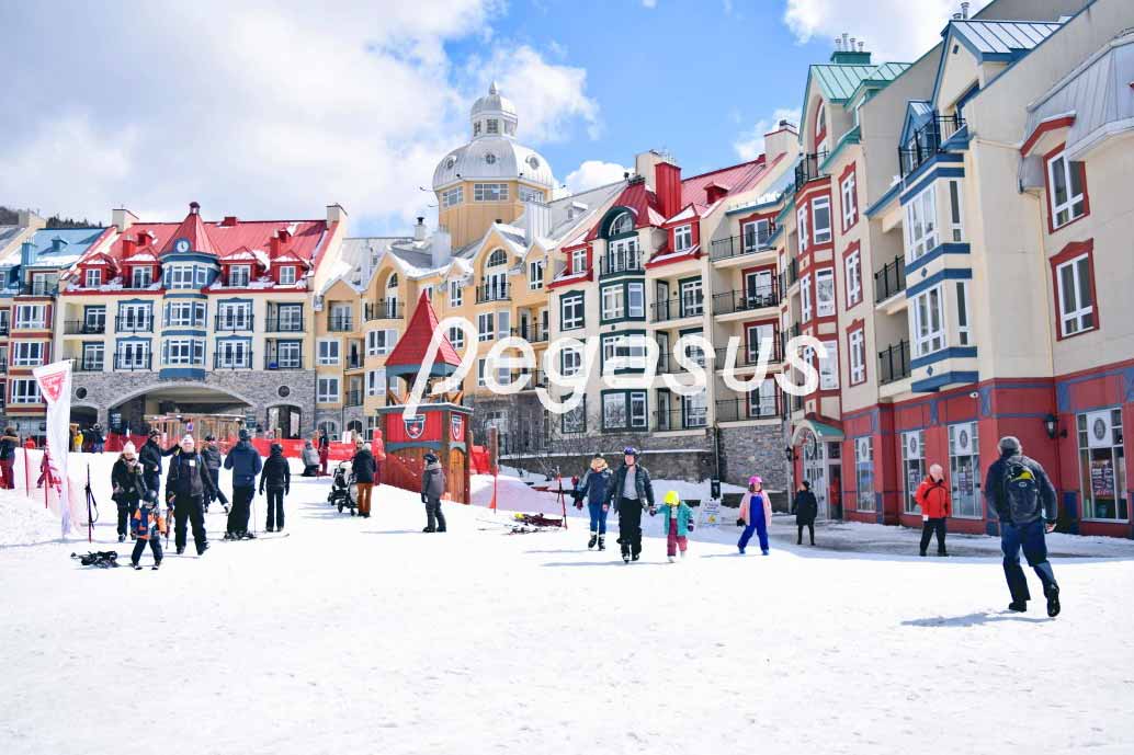 RFID Smart Ski Resort-Smart Membership and Rental Management Application-4_Pongee